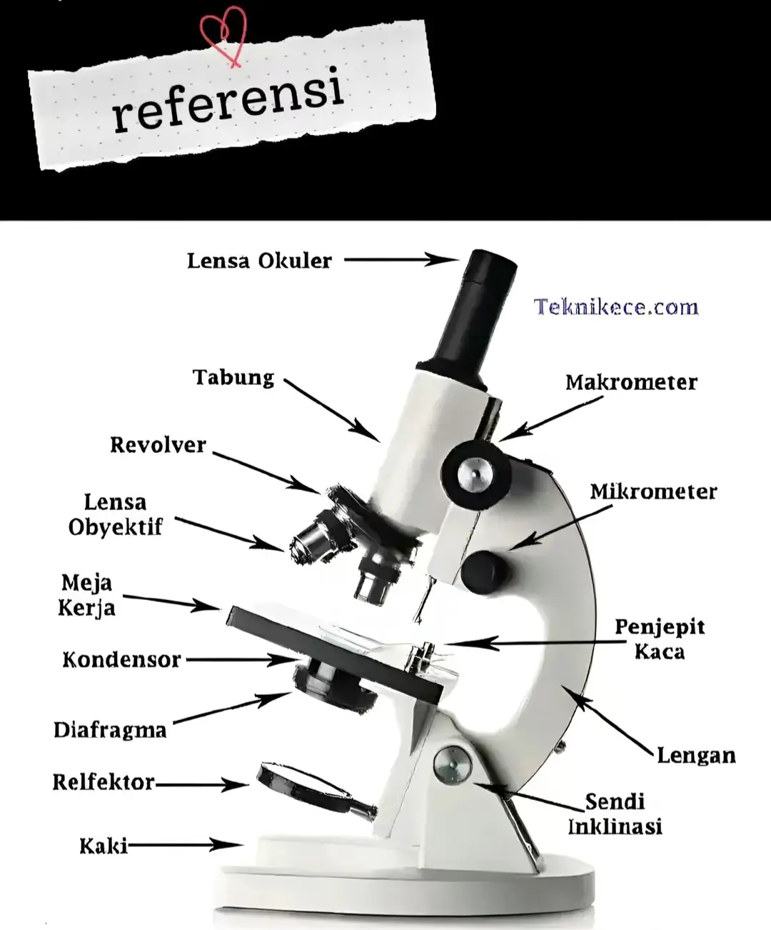 🤣😄..#gambarmikroskop  #mikroskop #pelajaranipa  #udahlama #bismillahfyp #lewatberandafypシ #fyppppppppppppppppppppppp 
