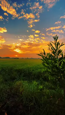 #الكلمة_الطيبة_تجبر_قلب_وتبني_حياة #الكلمة_الطيبة_صدقة #الشيخ_احمد_الوائلي #العراق_السعوديه_الاردن_الخليج #الصدق #درر 