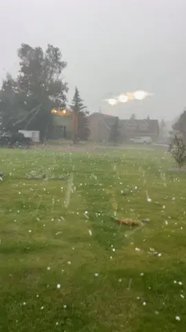 Cardston Alberta Hailstorm! July 27, 2025. #hailstorm #largehail #fyp #severeweather 