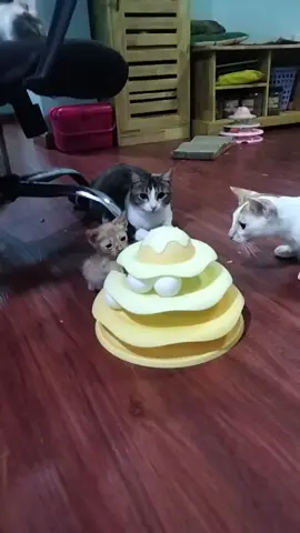 ကလေးကတော်လိုက်တာ