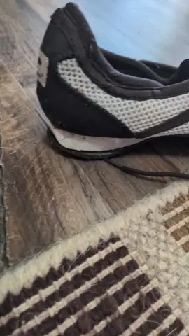 #baddog #viraldog iraldog