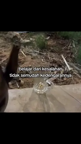 hilang satu hilang semua sc vid : @T🦂. 