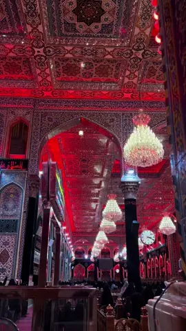 #fyp #fy #اكسبلورexplore #karbala #كربلا #fyyyyyyyyyyyyyyyy #fyppppppppppppppppppppppp #for #كربلاء #سيد_سلام_الحسيني 