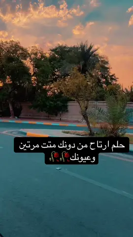 #محمدالجنامي #محمد_باقر_الخاقاني #حلم #شيعة_الامام_علي_عليه_السلام #العراق #كبرياء_رجل #انحاءالعالم #تكبيساتكم_ولاياتكم_اهم_اكسبلور 