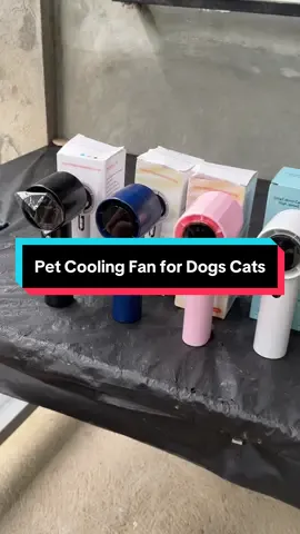 Affordable Mini Fan na pwedeng pwede sa Dogs and Cats nyo na takot sa malakas na tunog #minifan #minifanportable #minifanrechargeable #minifanlownoise #portableminifan 