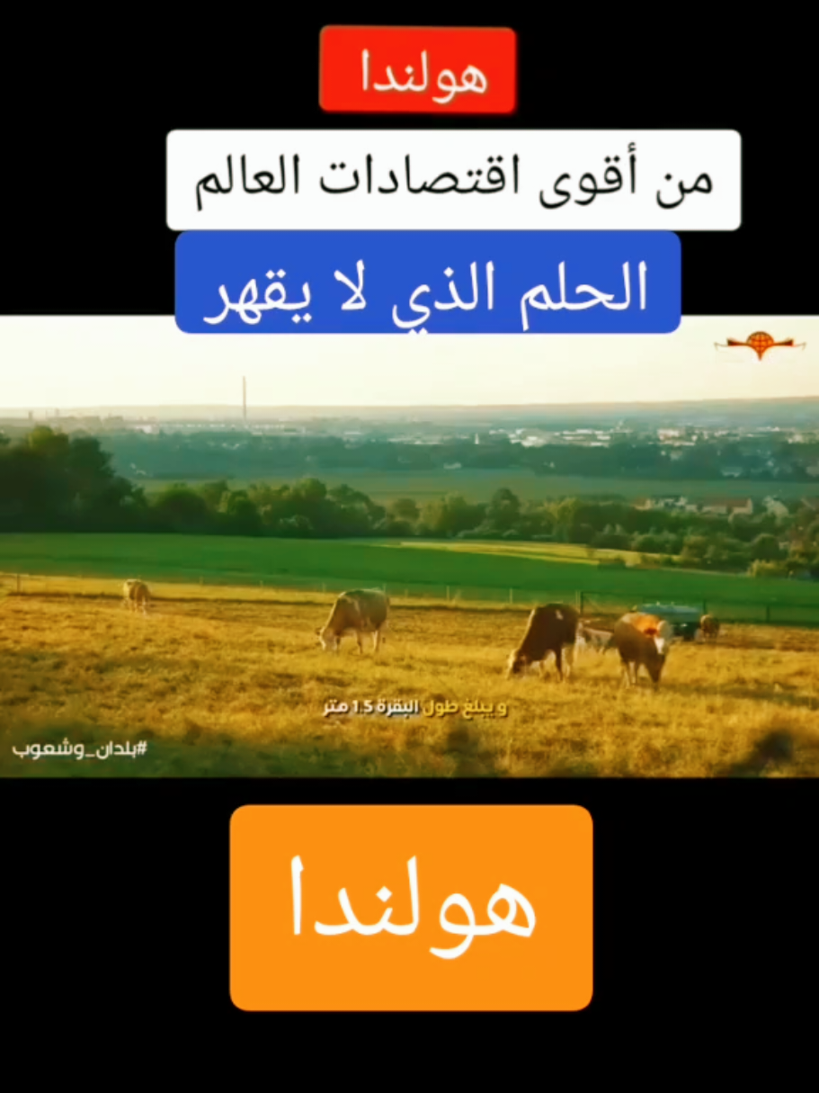 #في هذا اليوم _#في #fyp #مثل #foryoupage #هذا #TikTokLIVE #اليوم #ahmed #مشاهير_تيك_توك_مشاهير_العرب #ibrahim #اسبانيا🇪🇸_ايطاليا🇮🇹_البرتغال🇵🇹 #ايطاليا🇮🇹 #@Georgia Meloni @AHMED IBRAHIM @AHMED IBRAHIM @AHMED IBRAHIM #في هذا اليوم 