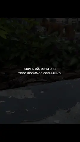 #футажи #музыкавмашину #любовь❤️ 