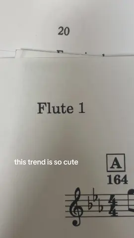 love being a flute 1 🥰 #flute #flutetok #bandtok #band #orchestra #fyp #fypage 