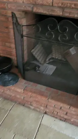 Enzo is exploring the fireplace... #ferretsoftiktok #ferretfreedomfederation #catswithjobs #comedy #ferrets 