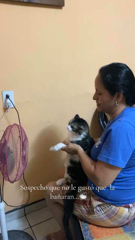 Creo que se enojo poquito…😾#fyppppppppppppppppppppppp #gatos #enojada #baño #amor 