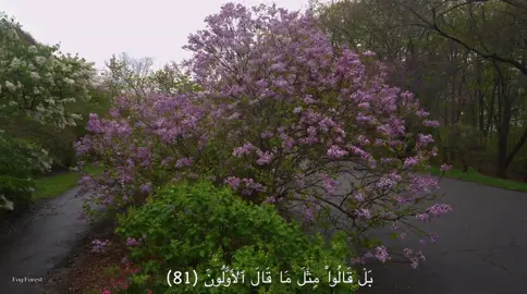 استمع وعيد نشر المقطع جزاك الله خير❤️.#قرآن #ماهرالمعيقلي #سورة_المؤمنون #اكسبلور #fyp 