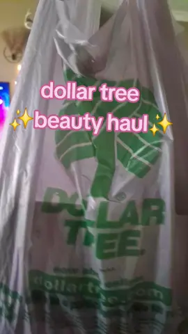 #dollartreefinds #dollartreehaul #dollartreebeauty #DIY #diybeauty 