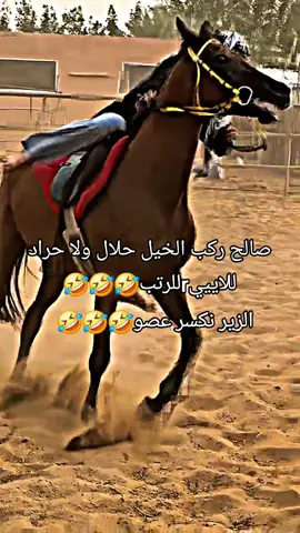 #ضلع_صالح #الشعب_الصيني_ماله_حل😂😂 #explor@صالح💞1 