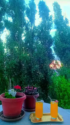 بركتنا_الحلوة_مع_غاليتي☺️🌹#مالي_خلق_احط_هاشتاقات #تركيا_اسطنبول_العراق_سوريا_مصر 