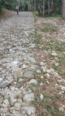 di buang sayang 😁🤣