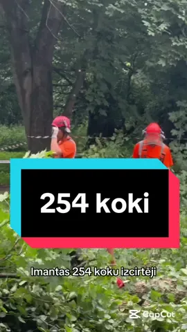 #rudolfsbremanis #jaunlatvieši #brēmanis #apvienibajaunlatviesi 