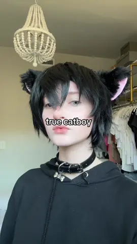 schrödingers cat :3 #femboy #looksmax #fyp 