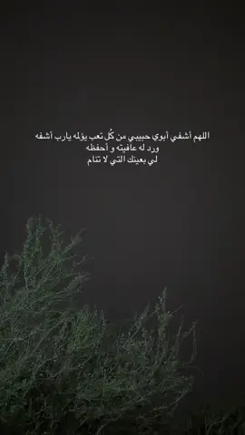 #قران#capcut #tiktok #fyp #اللهم_صلي_على_نبينا_محمد #اشفي_كل_مريض 