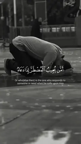 أمن يجيب المضطر إذا دعاه ويكشف السوء ويجعلكم خلفاء الأرض أإله مع . [ النمل: 62] #ياسر_الدوسري_إماما_للحرم #قران_كريم #تلاوات #فرجك_يارب #يارب #quran #اكسبلور 