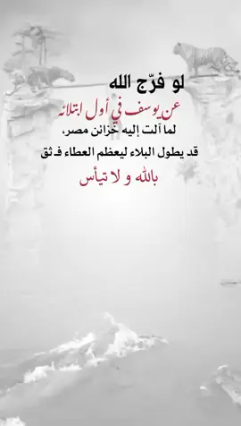 ثق بالله #اكسبلورexplore_ 
