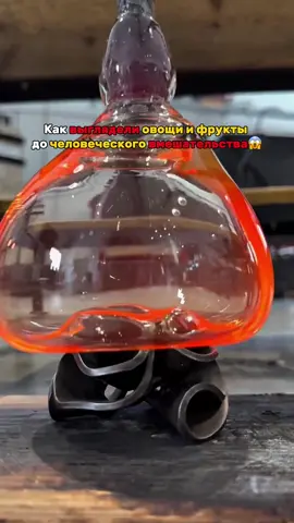 Как выглядели овощи и фрукты до селекций😱 #селекция #овощи #фрукты #ягоды #fyp #рекомендации #viral 