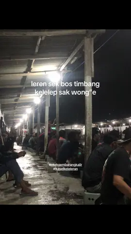 😳 #fyp #trend #mancingmania #rilisanlelejawatimur #rilisanlelejember #kpajisakajember #jember24jam 