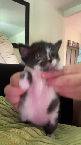 “oops…excuse me…I’m just a baby” - Curly #fyp 