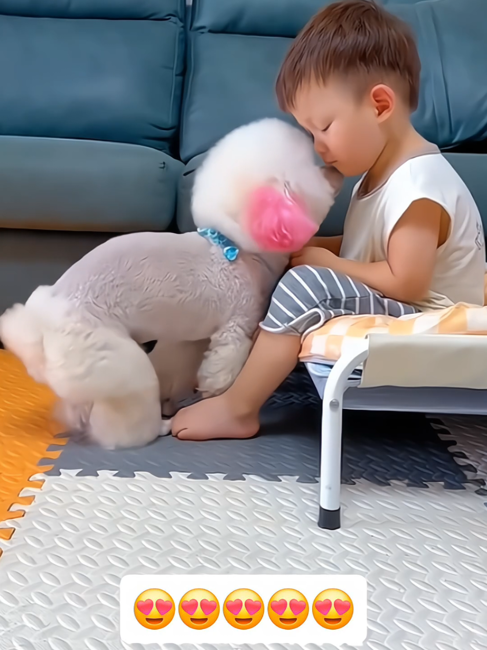 The sweetest Friendship🥰🥰  #Love #turelove #cute #pet #cat #dog #foryou #fyp 