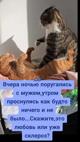 #юмор🤣🤣🤣 
