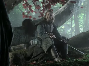 #nedstark #gameofthrones #goldenbrown #edit #fyp #foryou #foryoupage 
