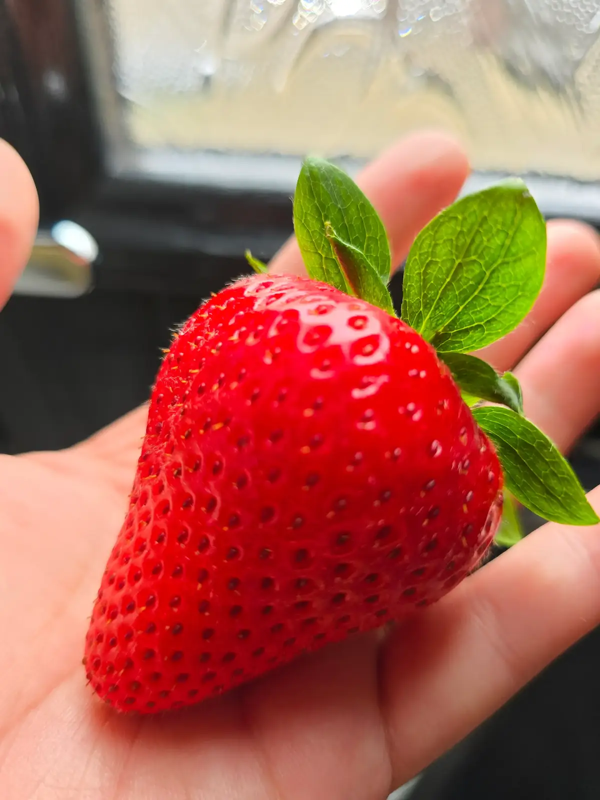 Immortalised their luscious look before they get in my belly 😂 #fyp #foryou #foryoupage❤️❤️ #for #foru #uhm  #foruyou #fruit #summerfruit #antioxidants #yum #photooftheday #follow #following #me #yes #i 