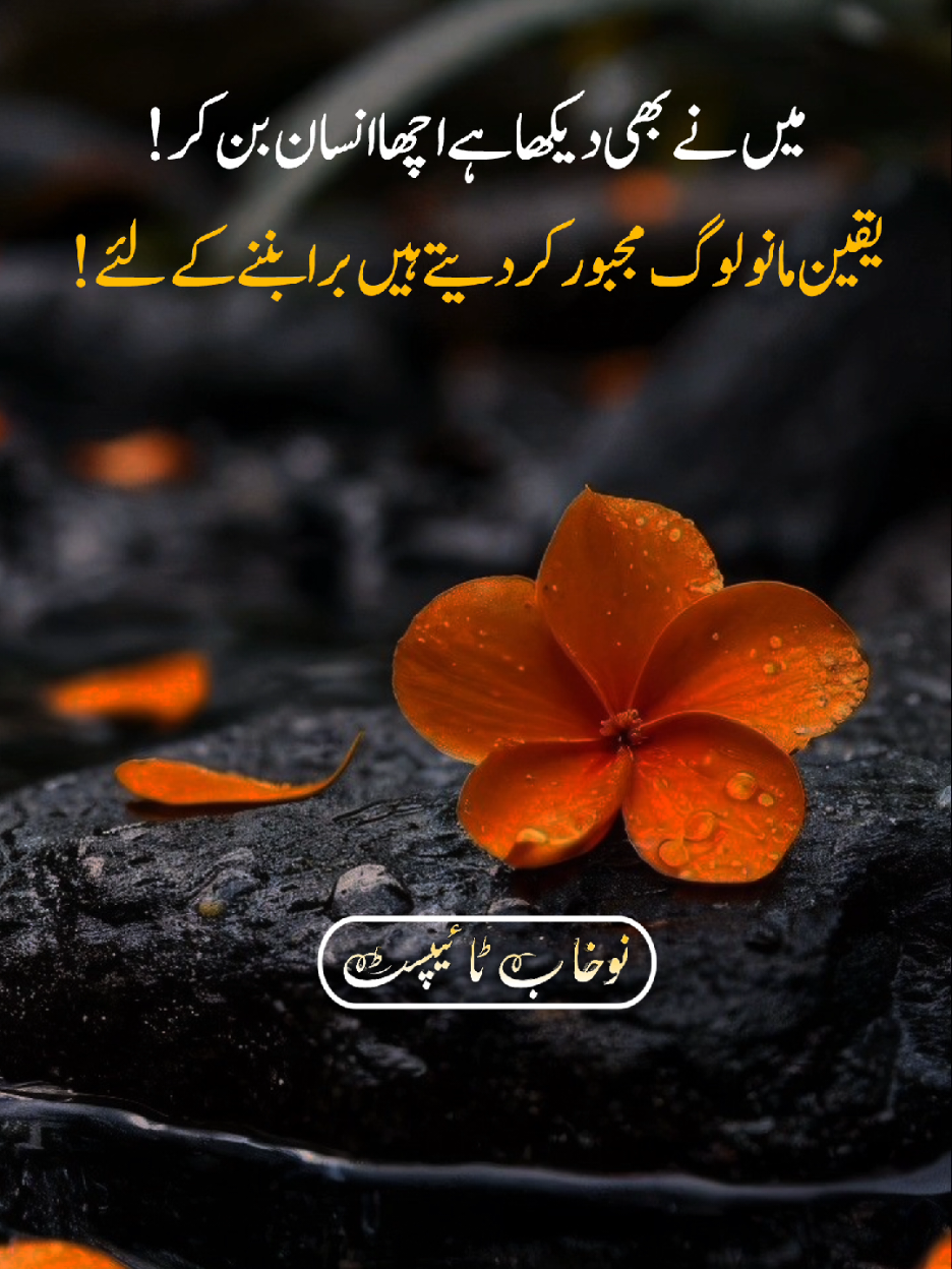 #foryoupage #nadantypist_01 
