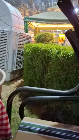 #لن تجد أحد في تفاصيلي سأبقى عقدتك الى الابد #السياده 