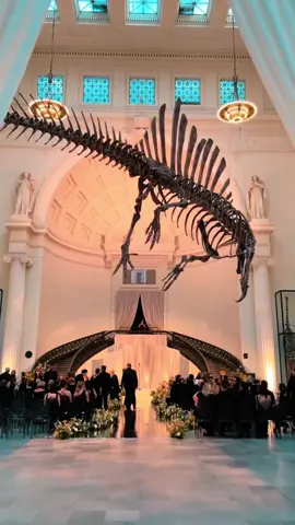 WE’RE MARRIED 🤍 @Kylen Granson  . . . #chicagofieldmuseum #uniqueweddingideas #weddingdress #weddingtiktok #weddingday #married #justmarried  @@Zweifel Studios@abbyjiu  @Estera Events @HMR Designs @Nicole + Felicia  @Glam Atelier @John Green 