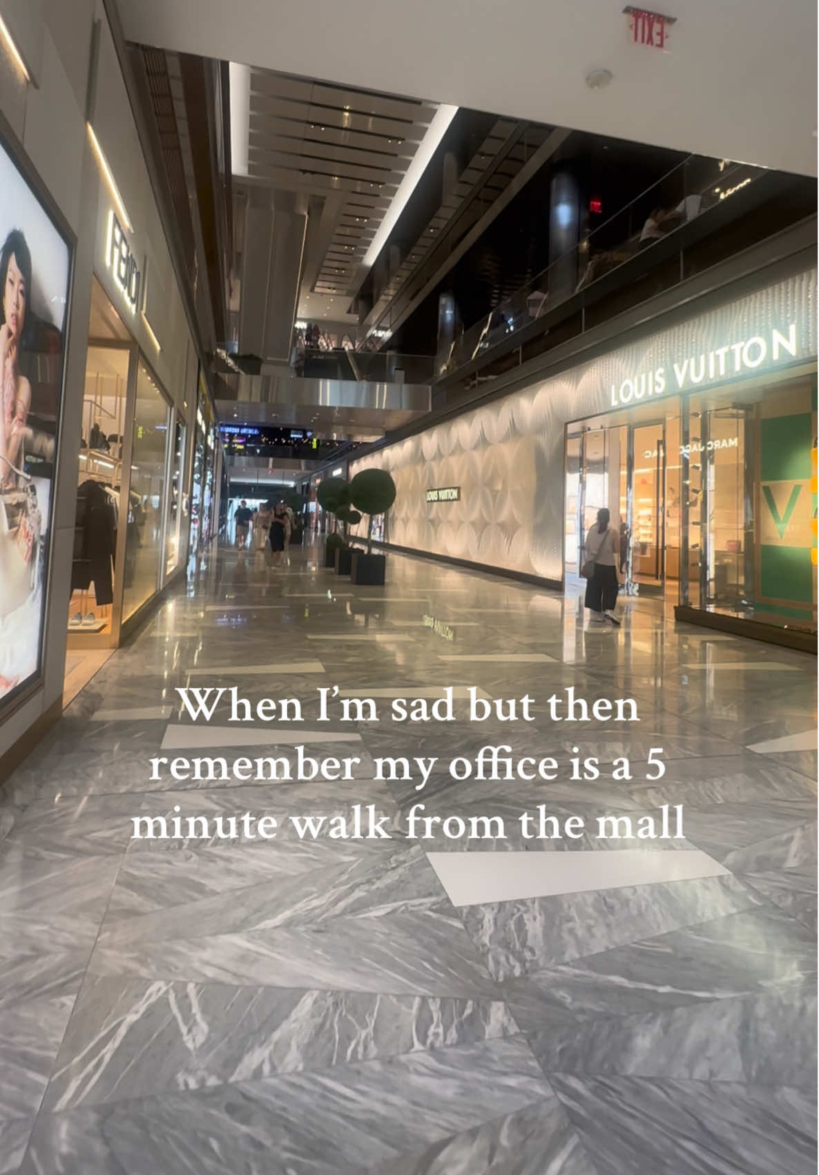 Lunch break views 👀🛍️ #shopping #mall #hudsonyards #nycshopping 