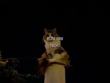 22:10 | вместе, эта долгая дорога.. #lyrics #on #fyp #футаж 