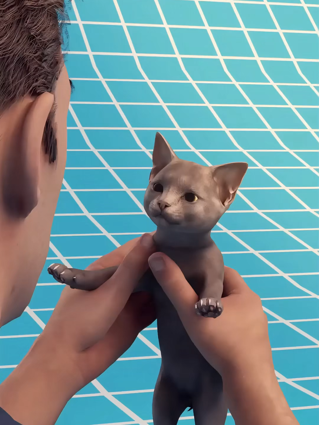 Ein supersüßes Kätzchen? Nur solange es nicht 270 kg wiegt. Denn ein spielerischer Tatzenhieb könnte tödlich enden. Und wusstest du, dass Entkrallen eigentlich eine Amputation ist – mit lebenslangen Folgen? #Katze #WusstestDuSchon #TikTokWissen #LearnOnTikTok #Fakten #Tiere #Tigerkatze #Tierliebe #Haustier #Entkrallen #Tierschutz #Wissen #Katzenliebe #Tierfakten #Katzenverhalten