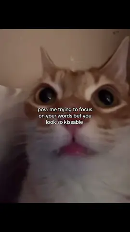 relatable? #fyp #relatable #catmeme #Love #couple #girlfriend #boyfriend #cattok #Relationship #catsoftiktok #sendit 