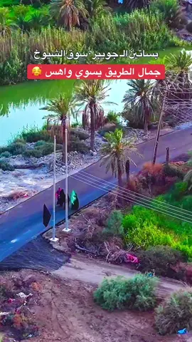طريق بساتين ال جويبر سوق الشيوخ جمال الطريق يسويلك واهس بالمشي 🥰#ناصريه #سوق_الشيوخ #الطار #الاربعينيه #زوار_الحسين #محرم #مضيف_ال_جويبر_الشيخ_عادل_علي_الدرچال #الشيخ_عادل_الدرچال #الشيخ_عادل_علي_الدرچال #الشيخ_علي_الدرچال #الجويبر  @علام مضيف ال درچــال بني خيگان 