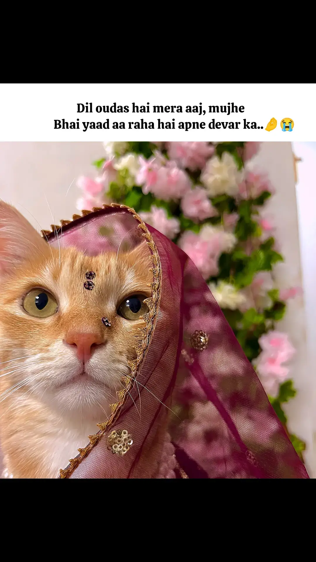 filhal tou single hun🤌🥺🙂🙊😁#foryoupage #unfreezemyacount #viewsproblem 