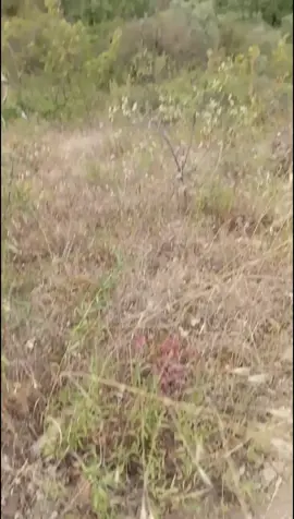 #дагестан #горы #реки #рекомендации 