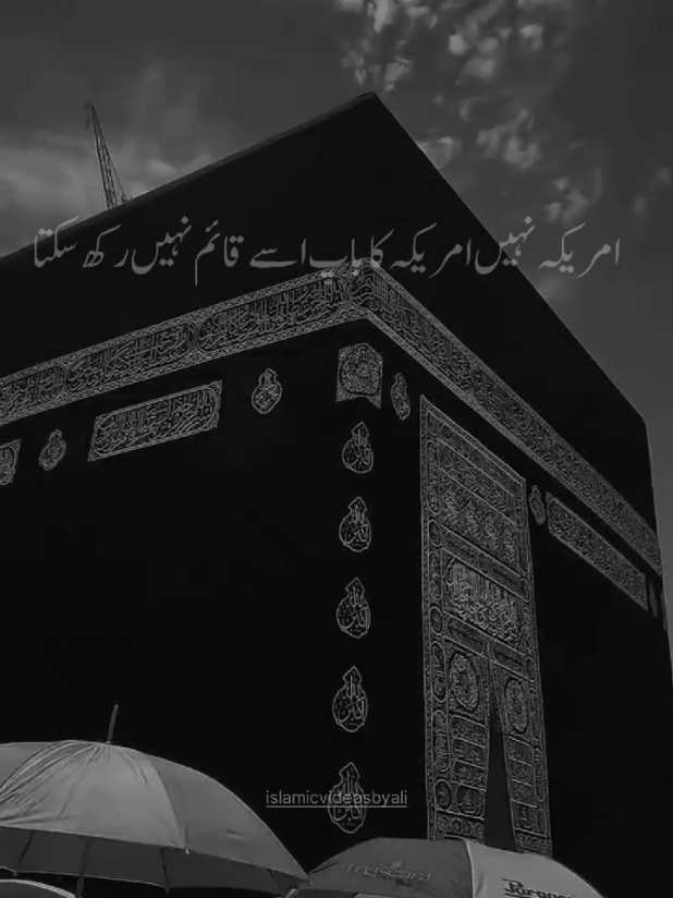Palestine 🇦🇪 - Dr. Israr Ahmad #islamicvideosbyali #IslamicShorts #drisrarahmad #RealFeelings #freepalestine🇵🇸❤️ 