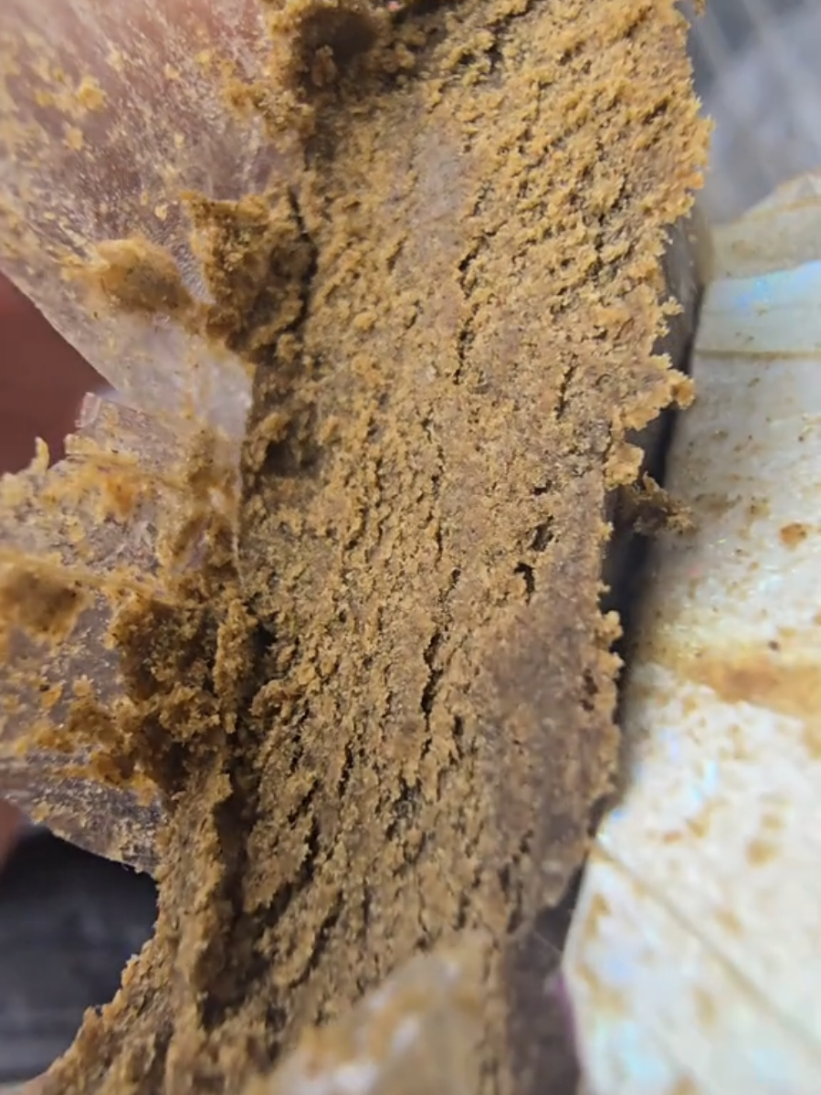 🇺🇲🧊🙅🏻‍♂️ #gourmetfood #Fresh #marroc🇲🇦  🇲🇦 #españa #Frozen