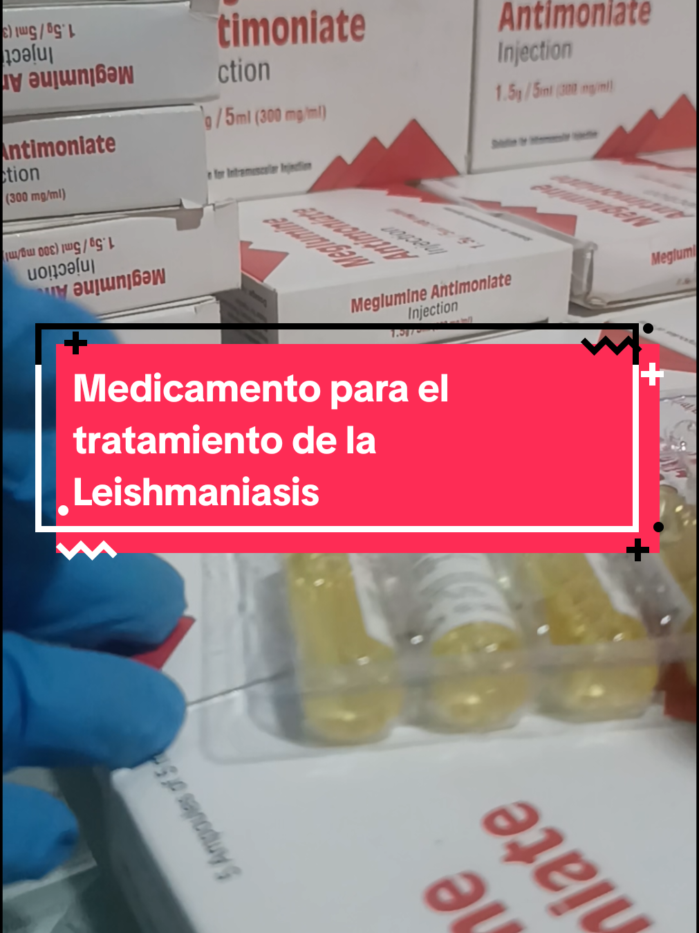 Ampollas para el tratamiento de la Leishmaniasis  #tratamientoleishmania #uta #Glucantime #medicamento #parati #xybca #leishmaniosis #leishmaniasis #americalatina #glucantime #medicina #salud #viraltiktok #fyppppppppppppppppppppppp #fypシ #parati #peru #selva #salud #farmacias #boticas 