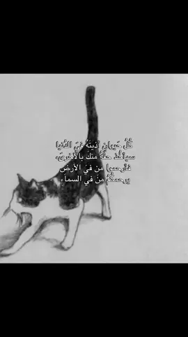 #explore #اكسبلور #like4like #نصائح #fypシ゚シ゚ 