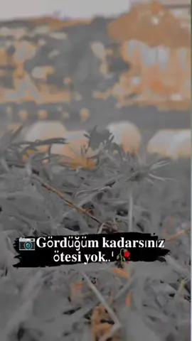 #anılar #arapçavideolar #arapçaşarkılar #yasinerdem63 #fypシ #keşfetteyiz 