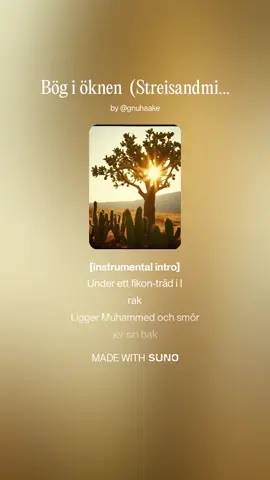 Mix nr 14 är en fet dub. #könsrock #streisandmix 