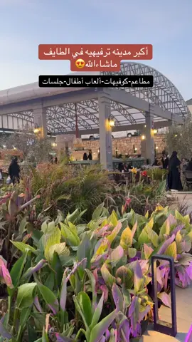 #جديدي#اكسبلورexplore #اكسبلورexplore #taif #قهوه #كوفيهات_الطايف #تغطيات #شاليهات #الطايف_الان_اكسبلور#fyp#foryou 