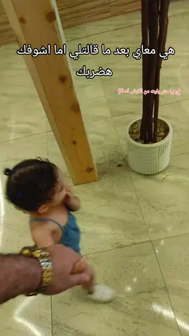 #عرب_تيك_توك ##مالي_خلق_احط_هاشتاقات #الشعب_الصيني_ماله_حل😂😂 #مشاهير_تيك_توك #مشاهير_تيك_توك #اكسبلورexplore #اكسبلور 