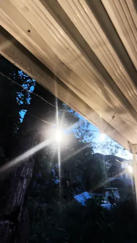 These fairy lights have transformed my backyard!! It’s so magical back here now!!  #magical #whimsical #fairylights #outdoorstringlights #stringlights #homedecor 
